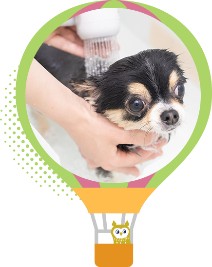 専門的な皮膚診察