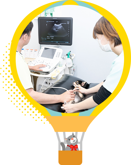 幅広い診療に対応